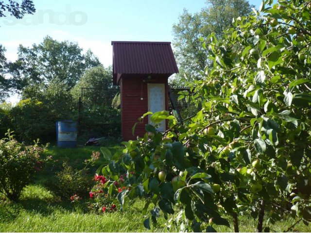 Два гостевых дома в городе Луга, фото 4, Дачи