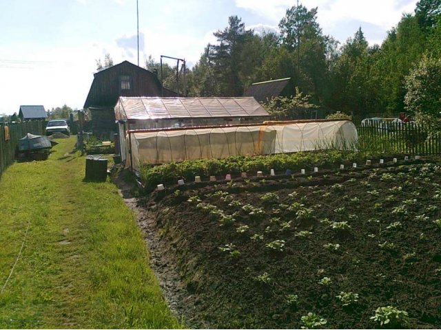 продам дом в городе Санкт-Петербург, фото 2, Ленинградская область