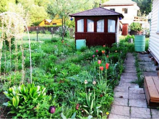 продаю дачу в Сергиево-Посадском районе, рядом с Хотьково в городе Хотьково, фото 4, Дачи