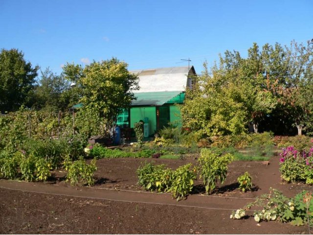 Купить Дачу В Медик В Оренбурге