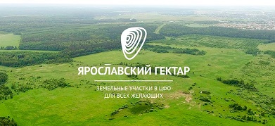 Участок 23 000 га  (СНТ, ДНП) в городе Новый Некоуз, фото 1, Ярославская область