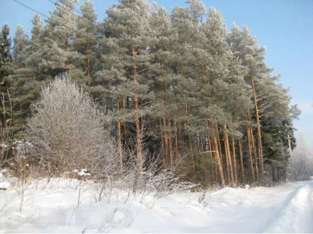 Очень старенькая дача в городе Александров, фото 2, стоимость: 280 000 руб.