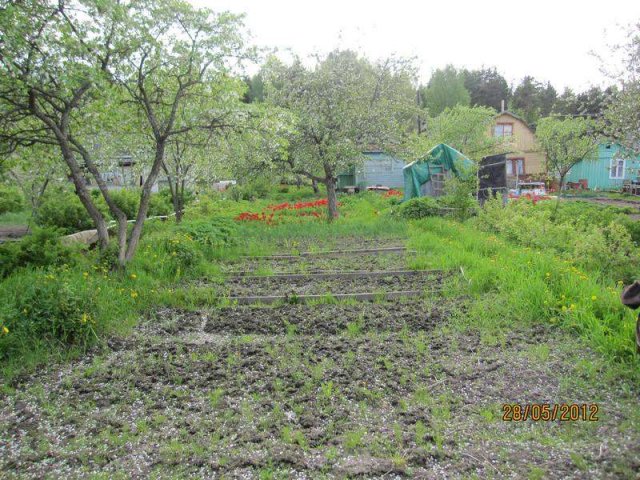 Продам дачу в черте города в городе Выборг, фото 3, Дачи