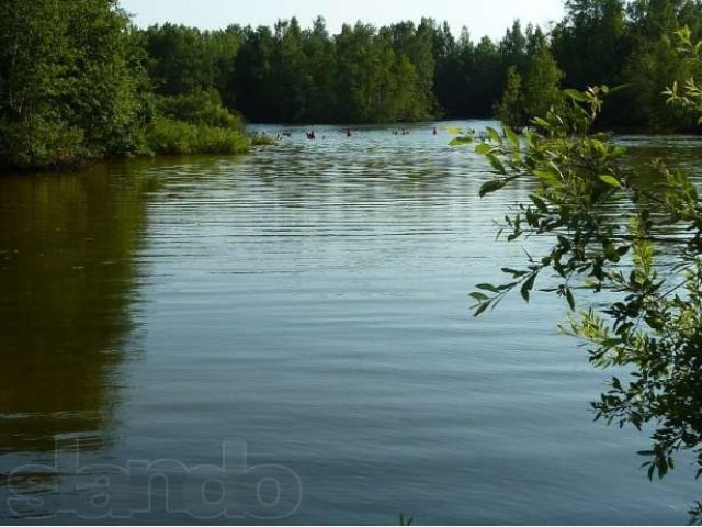 Дача в Захожье в городе Никольское, фото 3, Ленинградская область