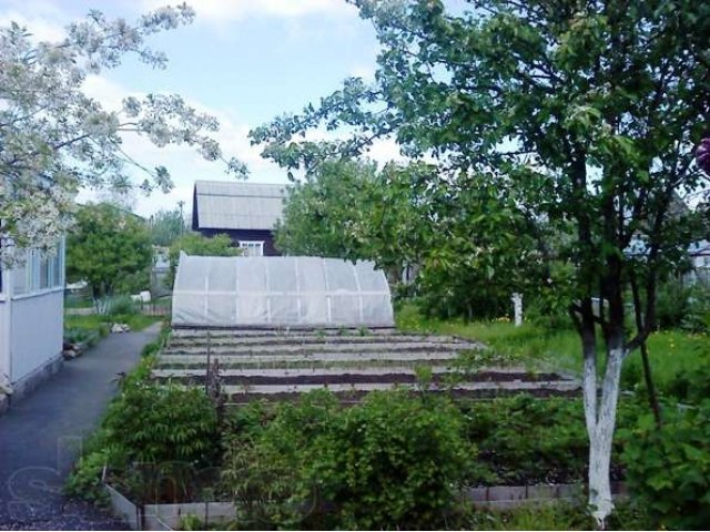 Дача п.Воровского с/т Светлячок в городе Электроугли, фото 2, Дачи