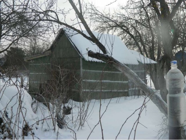 Продается дача в г.Алексин в городе Алексин, фото 3, Тульская область