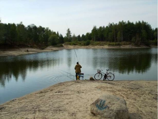 Дача в с/т «Дружба», г. Электроугли, мкрн. Светлый в городе Электроугли, фото 3, стоимость: 1 700 000 руб.