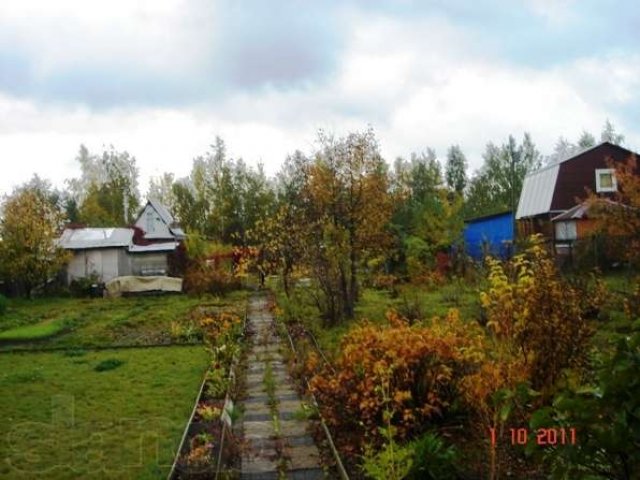 Дача в с/т «Чайка», п. Воровского в городе Электроугли, фото 4, Дачи