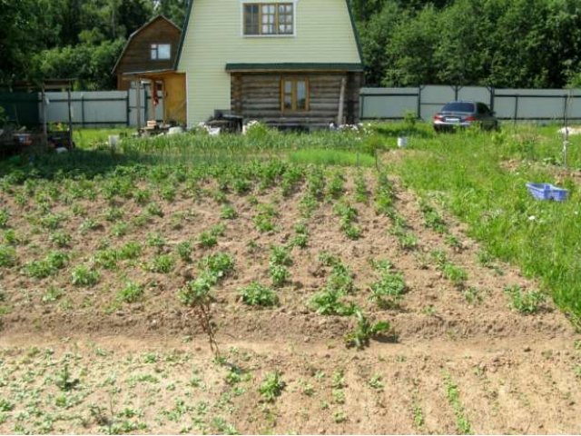 Продаю дачу в дер. Могутово (16 соток). Киевское шоссе в городе Наро-Фоминск, фото 1, Дачи