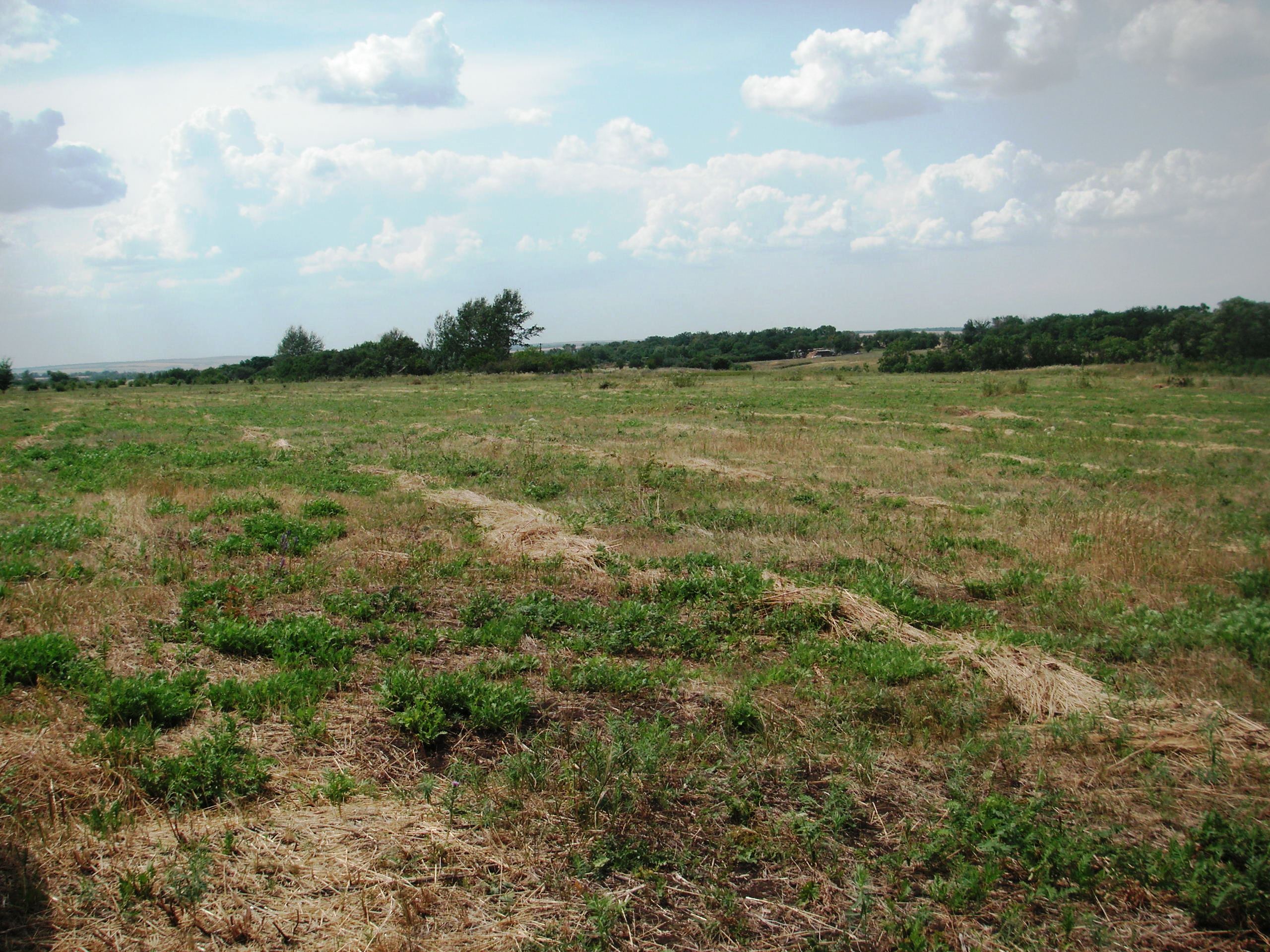 Продам земельный участок 7.4 га сельхозназначения в городе Родионово-Несветайская, фото 1, Ростовская область