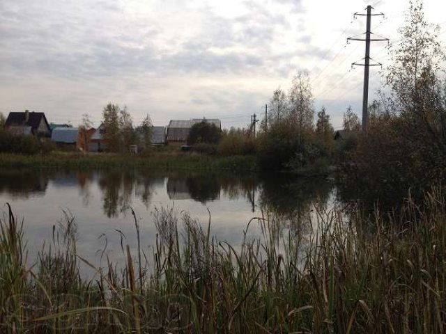 Дача 8 соток д. Шебанцево в городе Домодедово, фото 6, Дачи