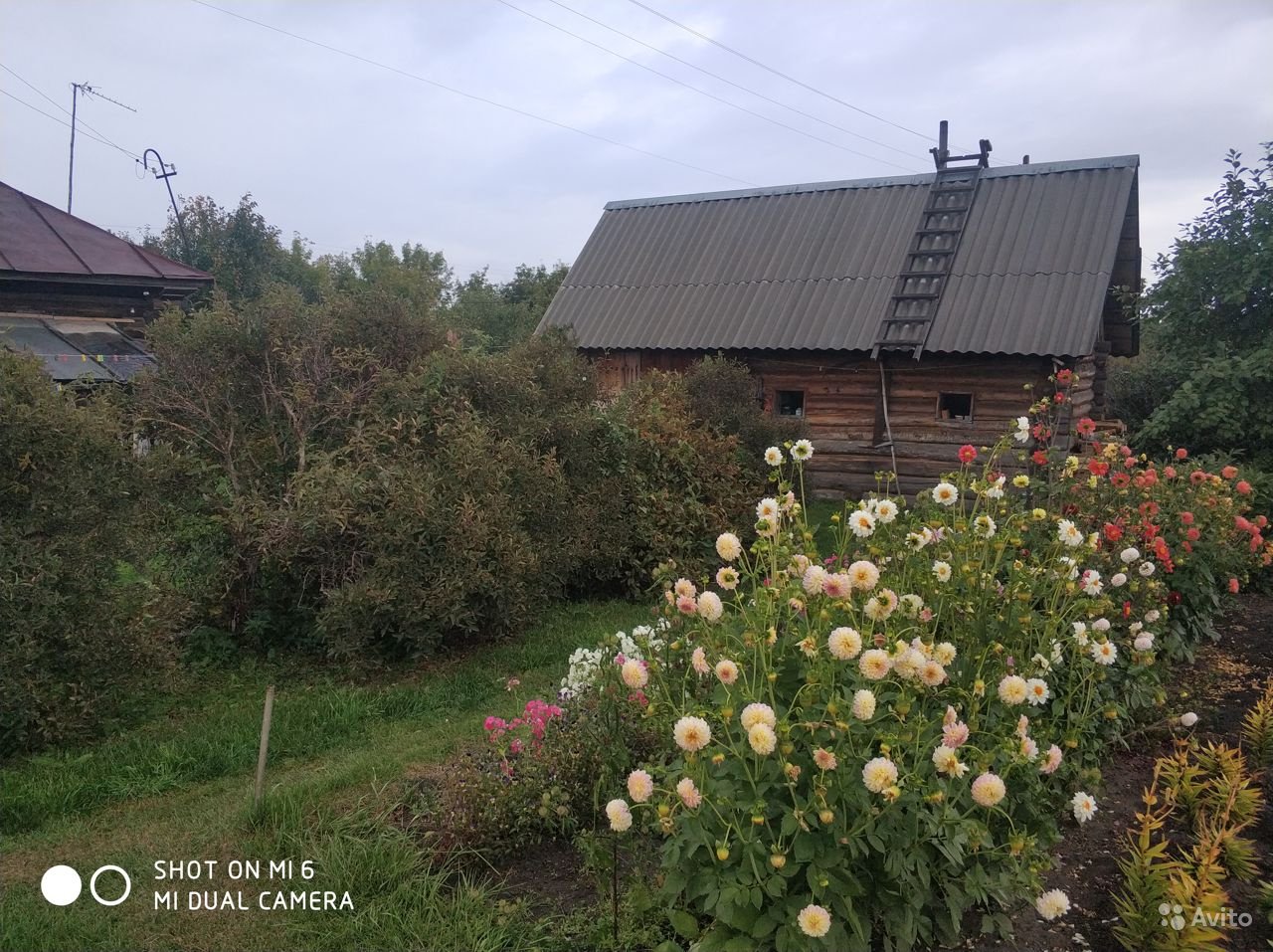 Продажа пасеки в с.Панфилово Калманский район Алтайский край в городе Калманка, фото 3, телефон продавца: +7 (913) 917-69-23