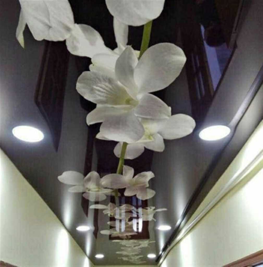 Натяжной потолок с орхидеей