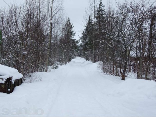 Продается дача в Кобринском садоводстве в городе Гатчина, фото 4, Дачи