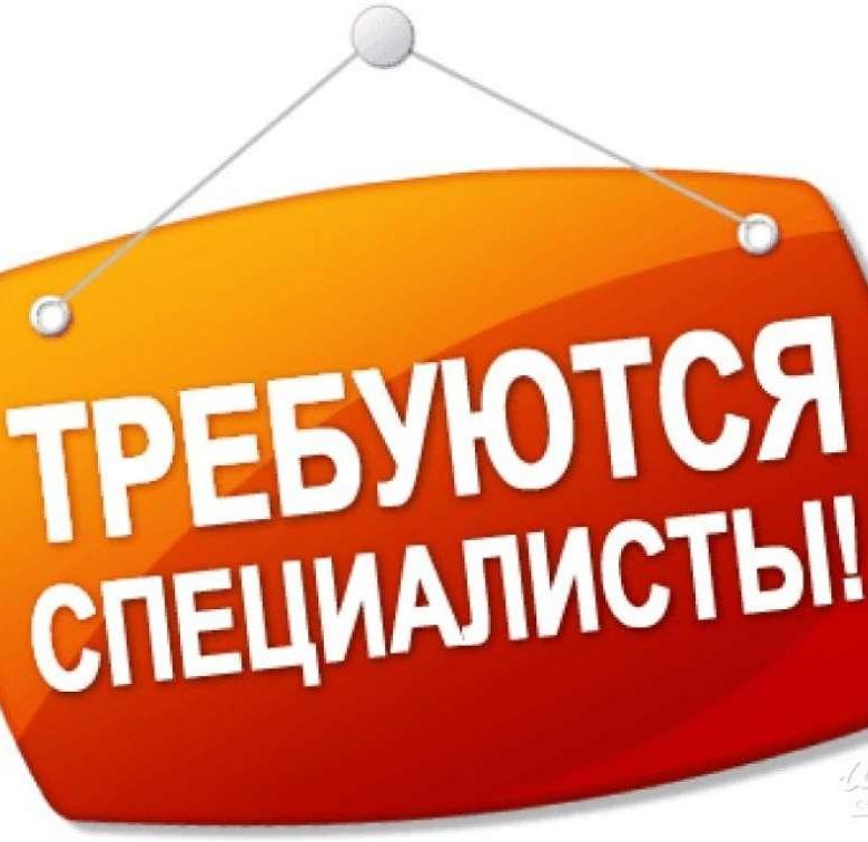 .маркетолог в интернет магазин  в городе Гороховец, фото 1, телефон продавца: +7 (923) 605-45-60