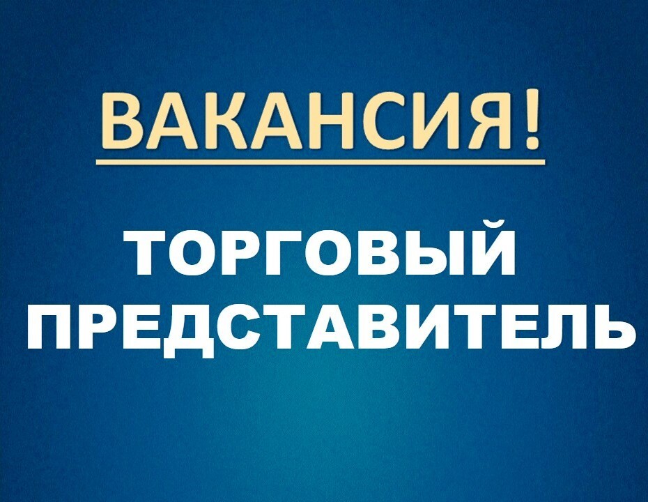 Торговый предствитель в городе Нижний Новгород, фото 1, телефон продавца: +7 (904) 393-01-57