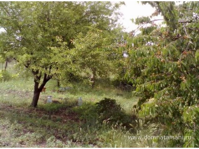 дача в районе Анапского аэропорта в городе Анапа, фото 3, Краснодарский край