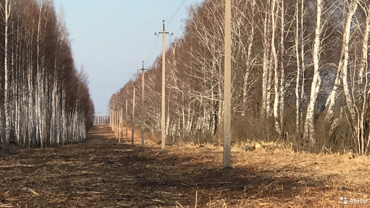 Аренда мульчера и рубильной машины по области в городе Севастополь, фото 9, стоимость: 1 000 руб.