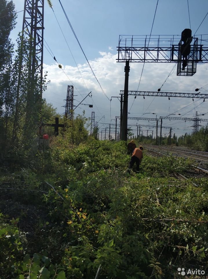 Аренда мульчера и рубильной машины по области в городе Севастополь, фото 4, Лесотехника, лесозаготовка