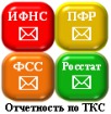 Отправка бух. отчетности в ифнс,фсс и пфр по ткс в городе Нижний Новгород, фото 1, телефон продавца: +7 (930) 283-55-64