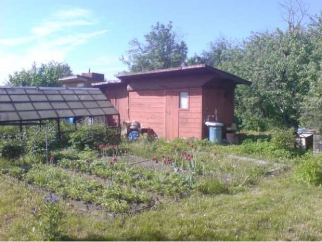 Продаю дачу 28 км от МКАД по Носовихинскому шоссе в городе Электроугли, фото 5, стоимость: 1 250 000 руб.