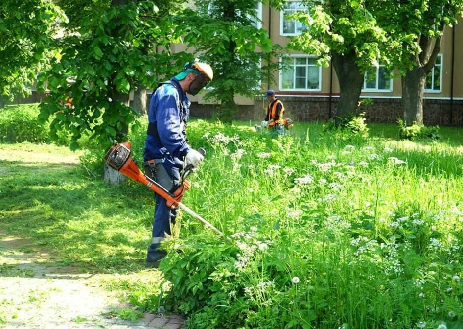 Строительство домов в Отрадном Воронежская область посадка растений в городе Воронеж, фото 2, телефон продавца: +7 (920) 438-31-98