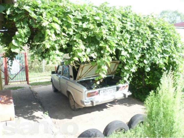 Дача в Приморье в городе Балаково, фото 5, Дачи