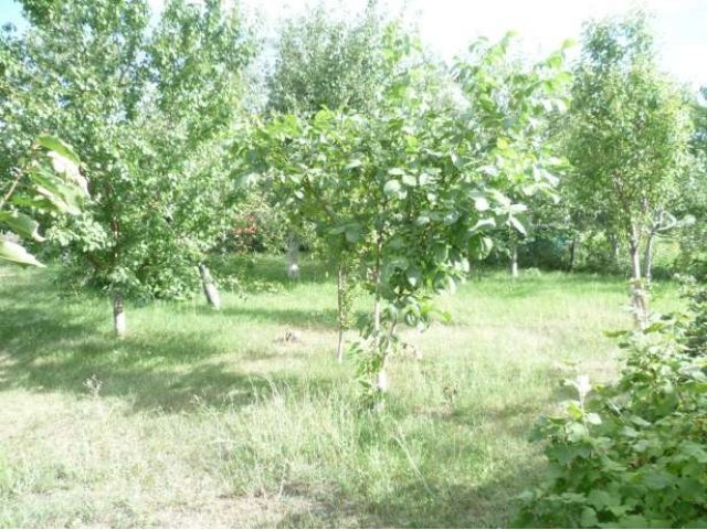 Дача в Приморье в городе Балаково, фото 6, Саратовская область