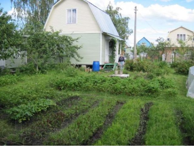 Поселок снт. СНТ Заря поселок Воровского. Председатель СНТ Заря. Пос Воровского дачи СНТ Заря. СНТ Заря Ногинск.