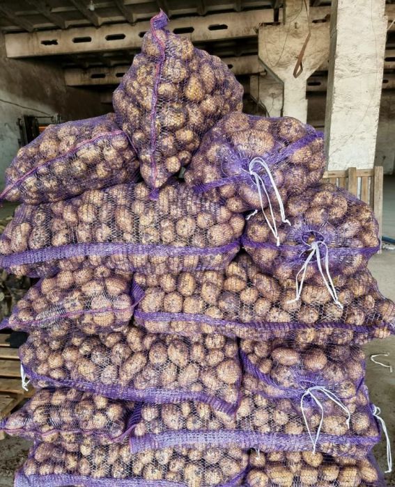 11 сортов картофеля от одного поставщика оптом в городе Барнаул, фото 1, Алтайский край