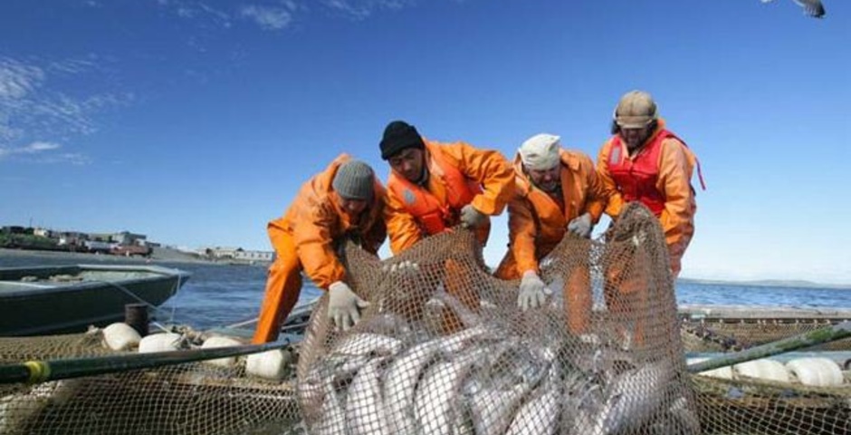 Камчатская рыбодобывающая компания на Путину 2024 предлагает работу в городе Краснодар, фото 1, Краснодарский край