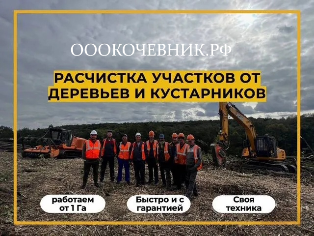  Расчистка участка от деревьев и кустарников в городе Брянск, фото 2, телефон продавца: +7 (925) 575-59-29