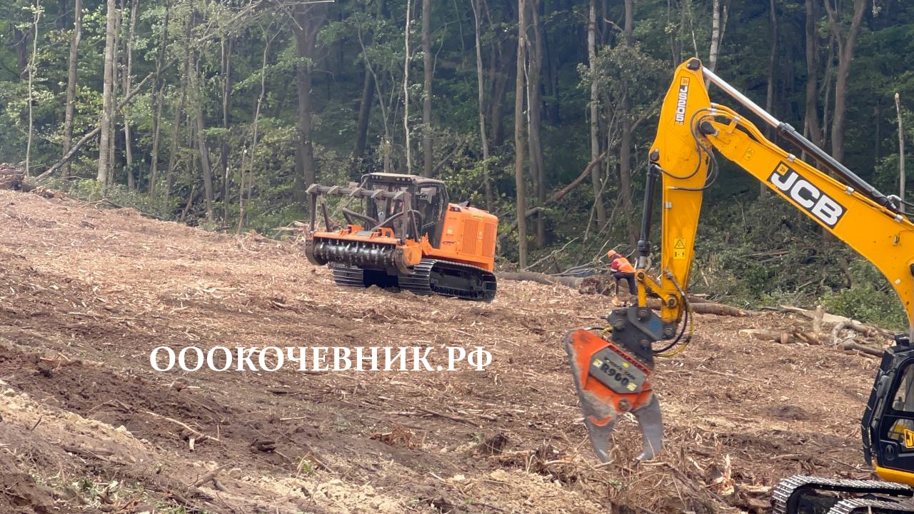  Спил деревьев и кустарников, мульчирование в городе Москва, фото 3, Московская область