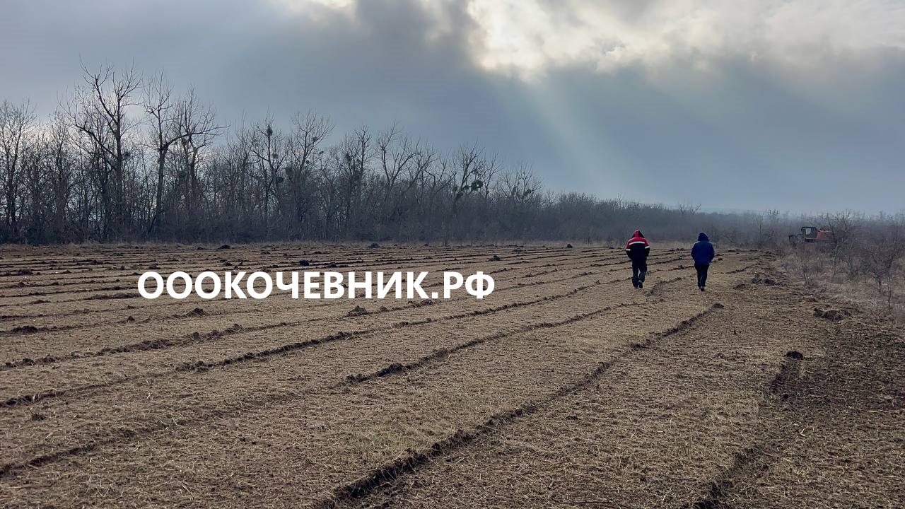  Спил деревьев и кустарников, мульчирование в городе Москва, фото 6, Архитектуры, проектирование и дизайн