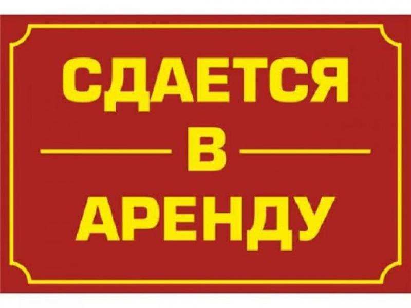 Сдаются в аренду студии на длительный срок. МО, деревня Огуднево в городе Москва, фото 1, Московская область