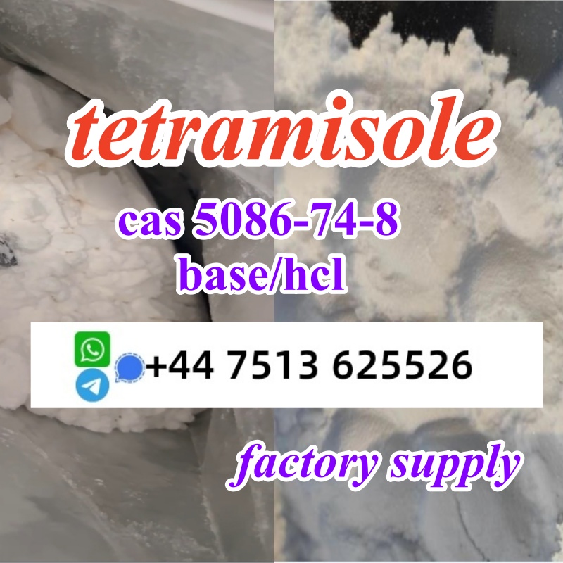 cas 5086-74-8 tetramisole hcl base powder door to door ship worldwide в городе Балашейка, фото 1, Самарская область