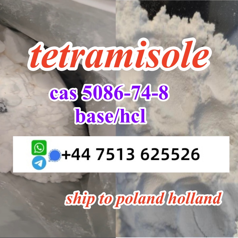 cas 5086-74-8 tetramisole hcl base powder door to door ship worldwide в городе Балашейка, фото 2, телефон продавца: +7 (447) 513-62-55