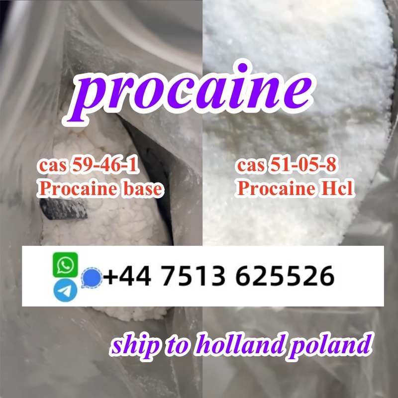 cas 59-46-1 Procaine base powder Procaine Hcl safe ship to Holland Poland в городе Балашейка, фото 6, телефон продавца: +7 (447) 513-62-55