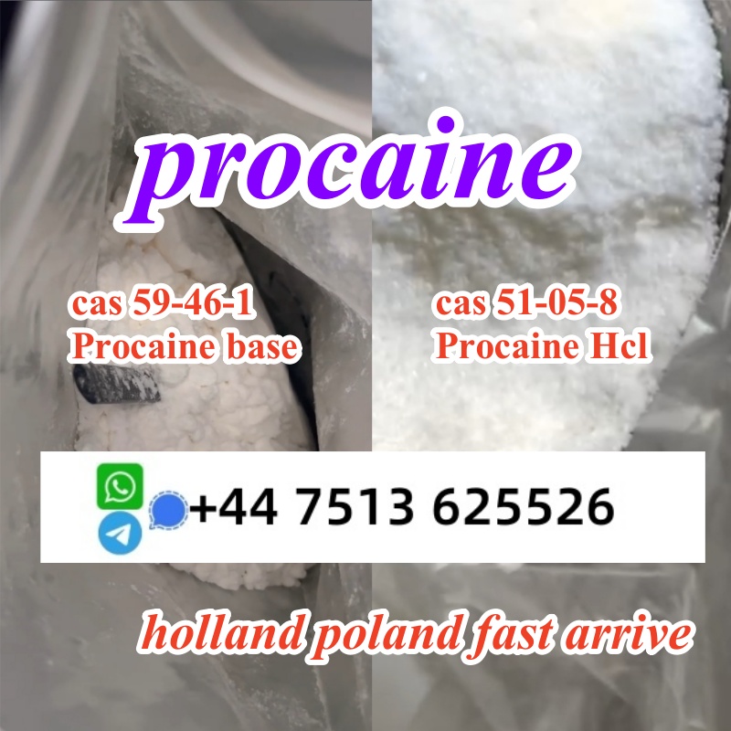 cas 59-46-1 Procaine base powder Procaine Hcl safe ship to Holland Poland в городе Балашейка, фото 7, стоимость: 20 руб.