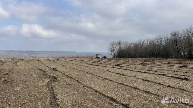 Мульчер гусеничный от 1 гектара в городе Ростов-на-Дону, фото 6, стоимость: 18 000 руб.