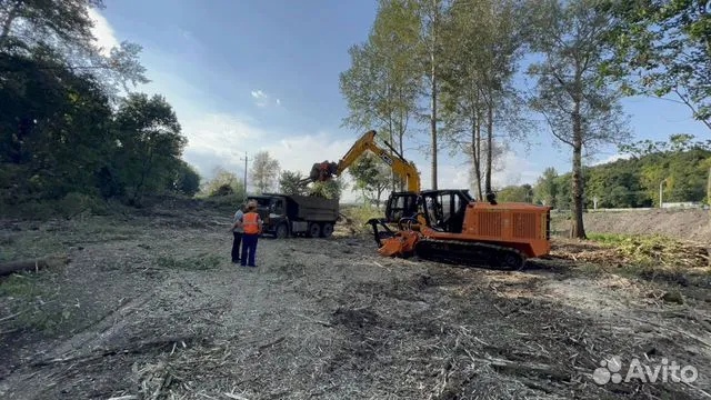 Мульчер гусеничный от 1 гектара в городе Ростов-на-Дону, фото 8, Ростовская область