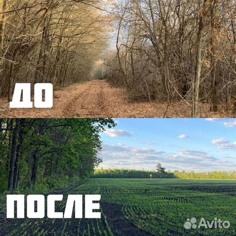  Мульчер гусеничный от 1 гектара в городе Краснодар, фото 5, телефон продавца: +7 (925) 575-59-29