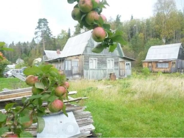 дача Пиньгуба в городе Петрозаводск, фото 1, стоимость: 600 000 руб.