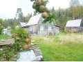 дача Пиньгуба в городе Петрозаводск, фото 1, Карелия