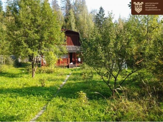 Поселок радищево солнечногорский район фото