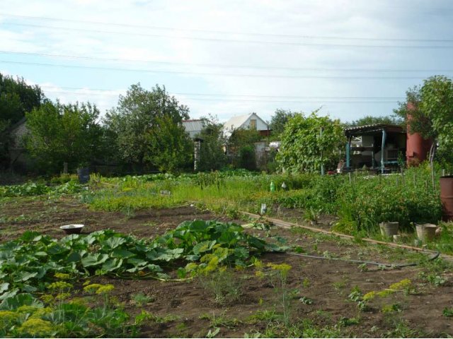 Продам дачу в городе Балаково, фото 2, Дачи