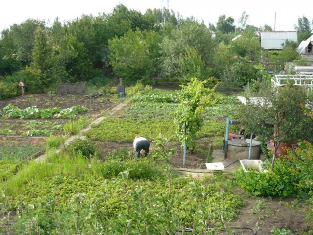 Продам дачу в городе Балаково, фото 3, Саратовская область