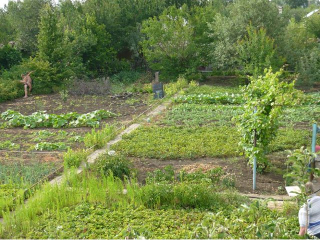 Продам дачу в городе Балаково, фото 4, стоимость: 400 000 руб.