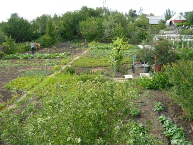 Продам дачу в городе Балаково, фото 6, Саратовская область