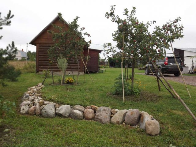 Дача в СНТ по Минскому шоссе в городе Можайск, фото 2, Московская область